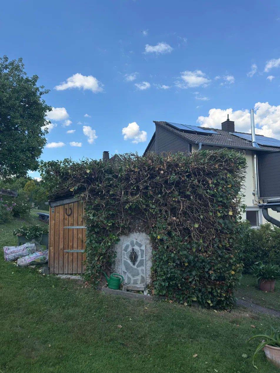 Gartenarbeit von Jung & Fleißig in Arnsberg